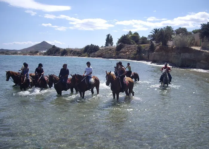 Villa Angels - Prime Concept