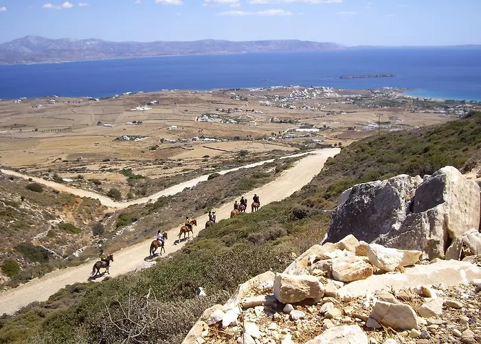 Angels - Prime Concept